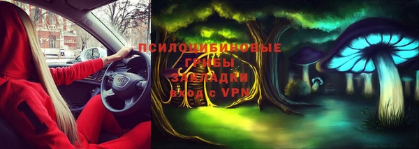 спайс Нягань