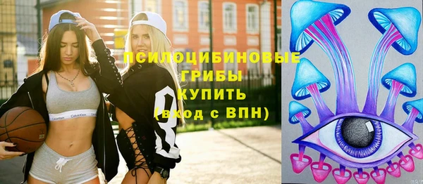 спайс Нягань