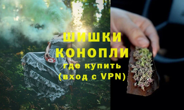 спайс Нягань
