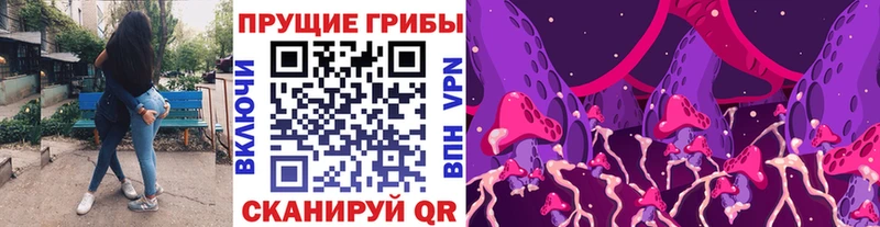 где купить наркоту  Щёкино  Псилоцибиновые грибы прущие грибы 